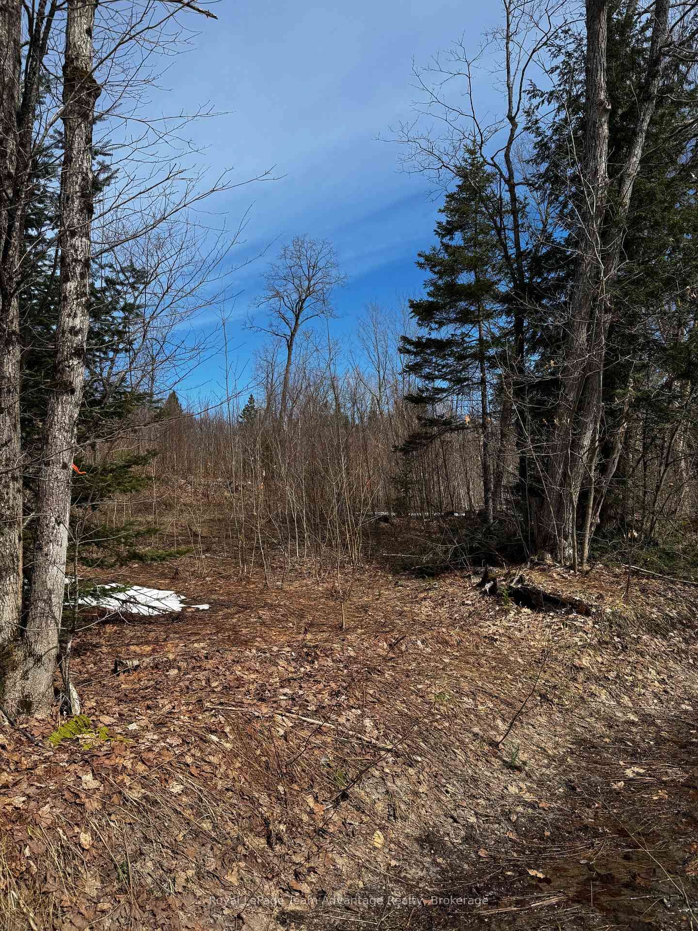 Lot 3 Lorimer Lake Road • Whitestone, ON photo 9