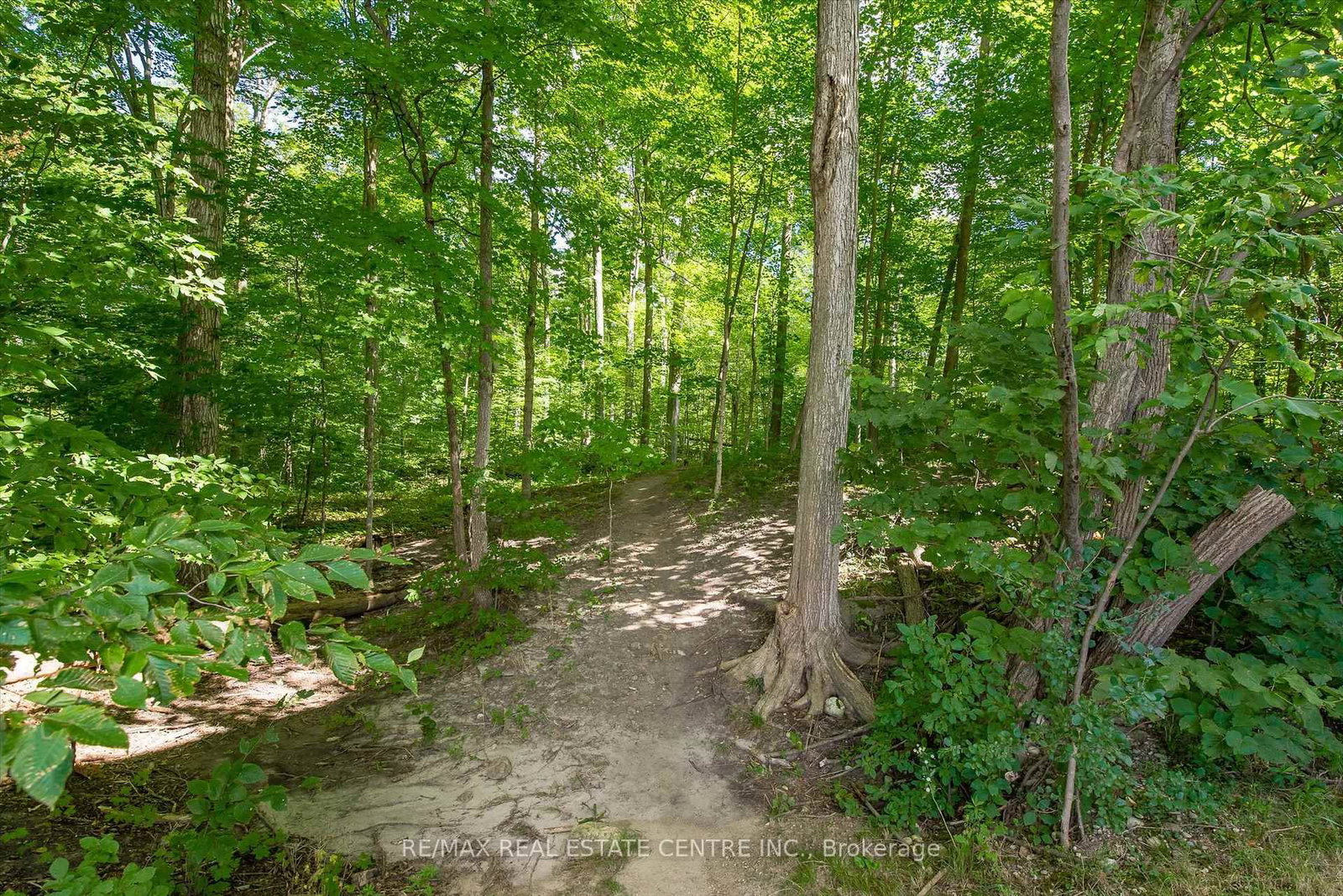 50 Bryan Court • #111 • Kitchener, ON photo 22