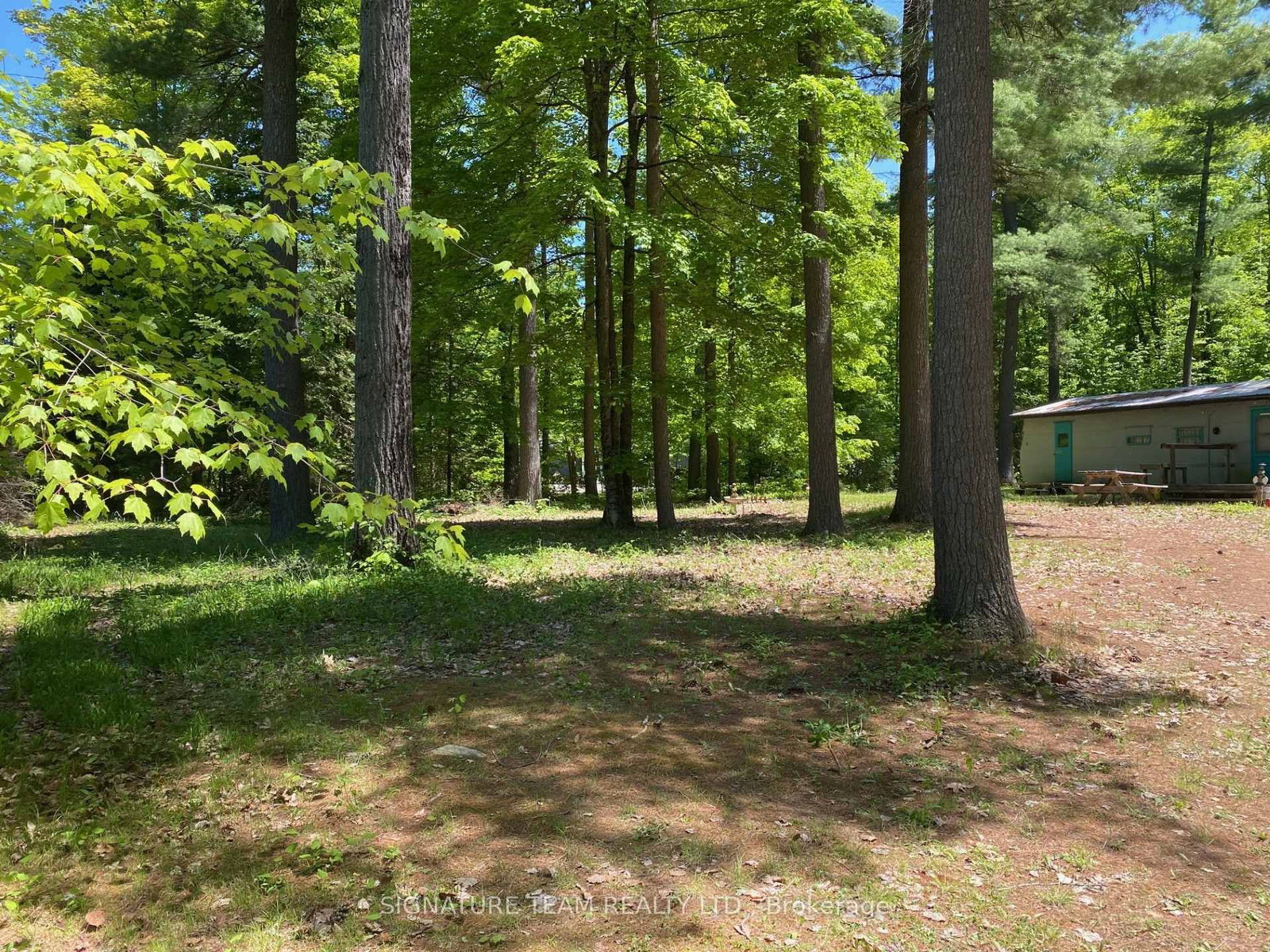 491 Jessup Road • Eganville, ON photo 7
