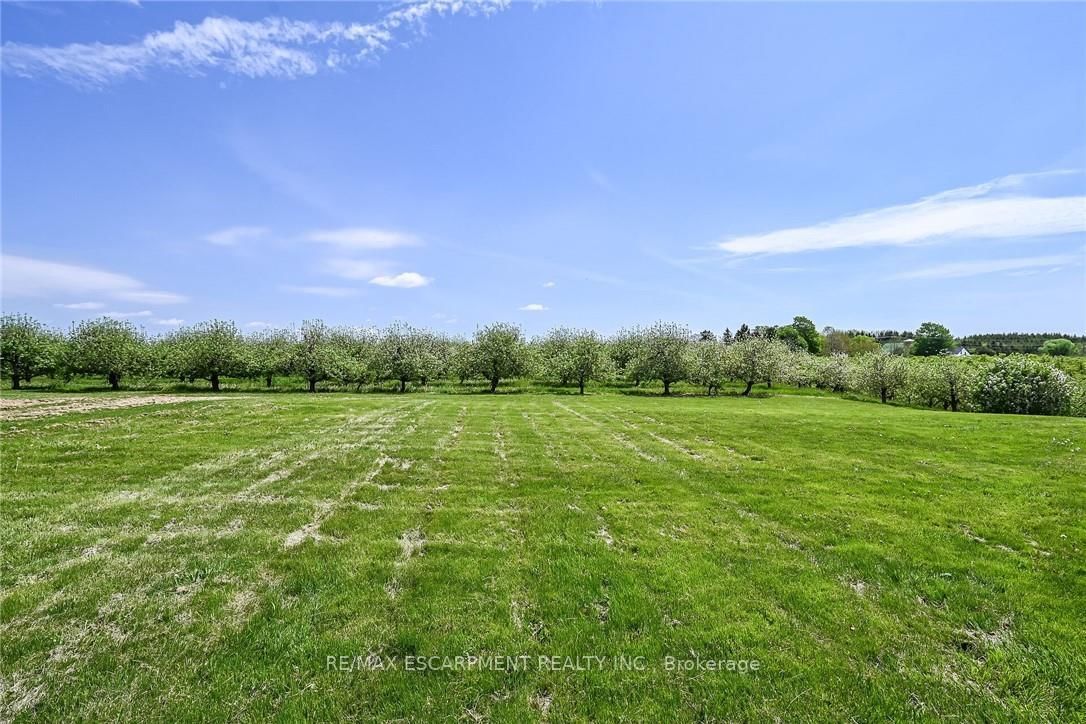 903 Concession 13 Townsend Road • Norfolk, ON photo 44
