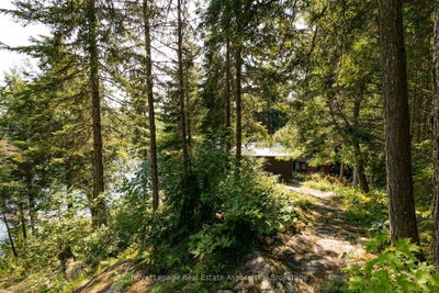 6415 Kennisis Lake Road — photo 5