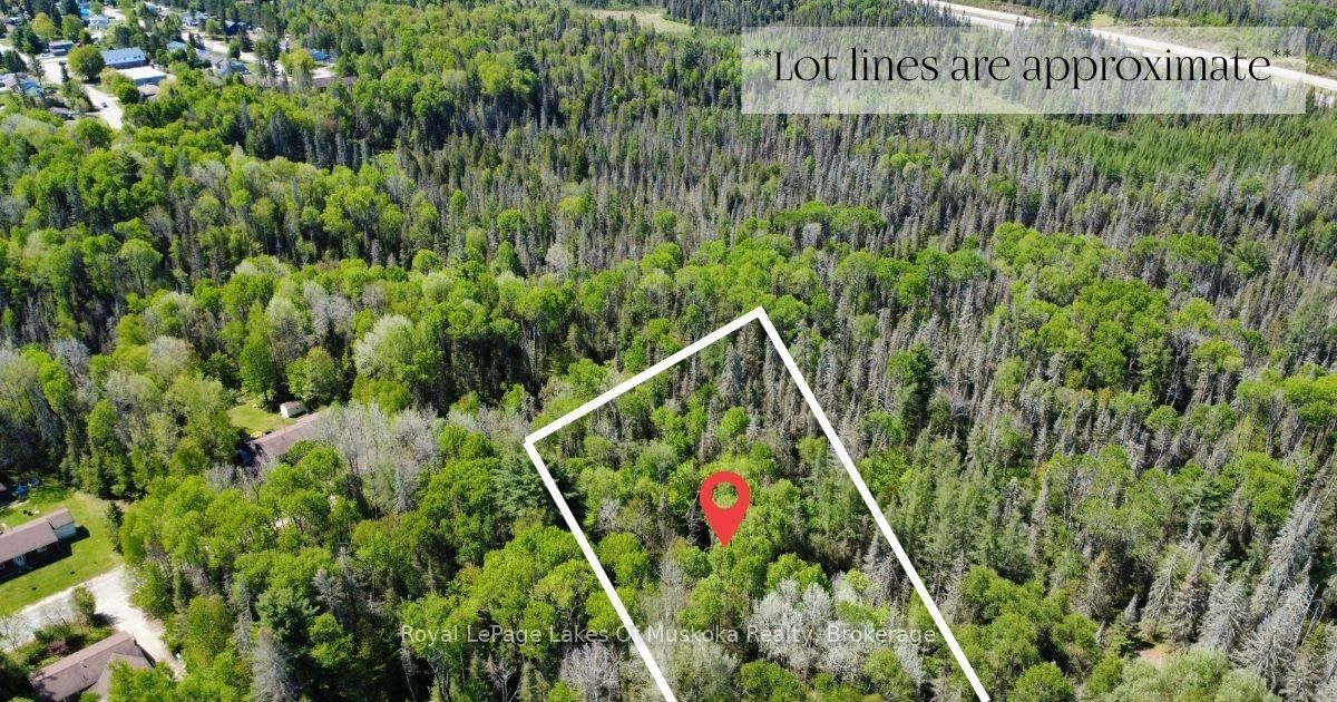 12 Poplar Street • South River, ON photo 6