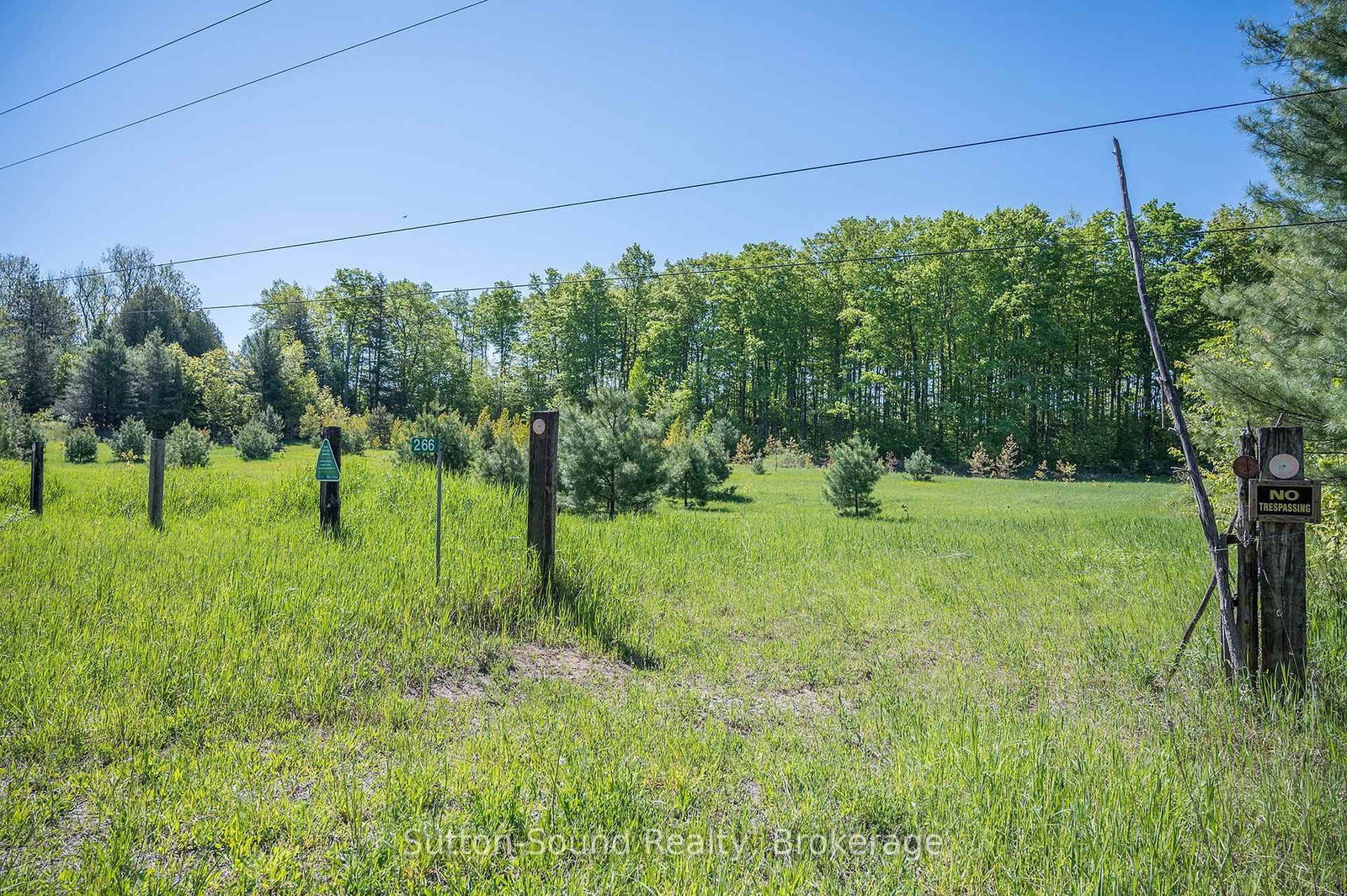 266 Rankin Bridge Road • South Bruce Peninsula, ON photo 5