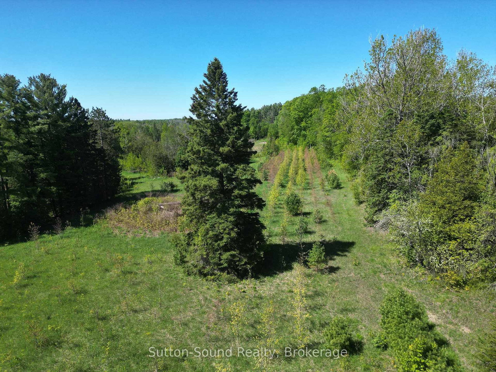 266 Rankin Bridge Road • South Bruce Peninsula, ON photo 8