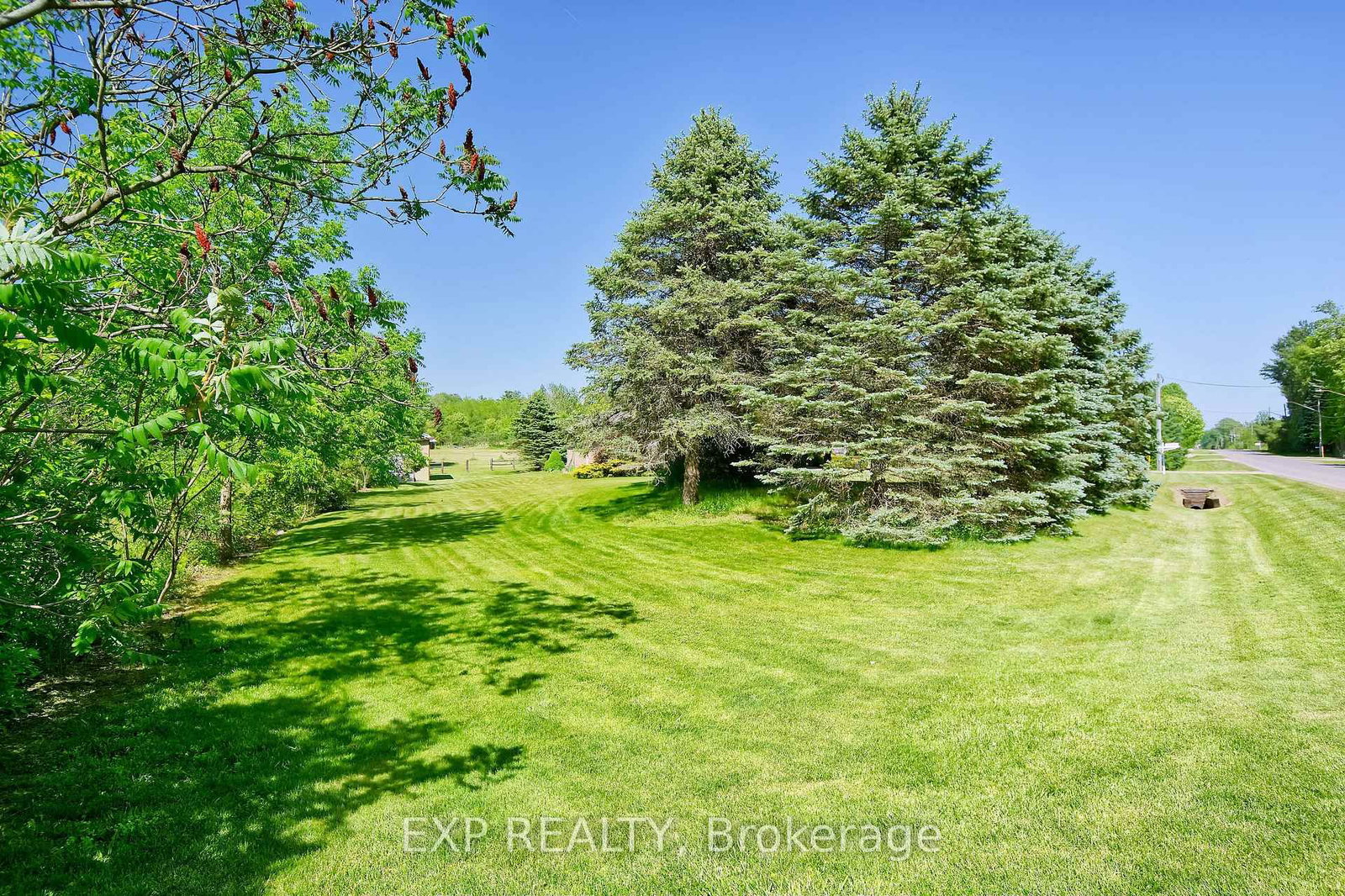 57186 Eden Line • Bayham, ON photo 12