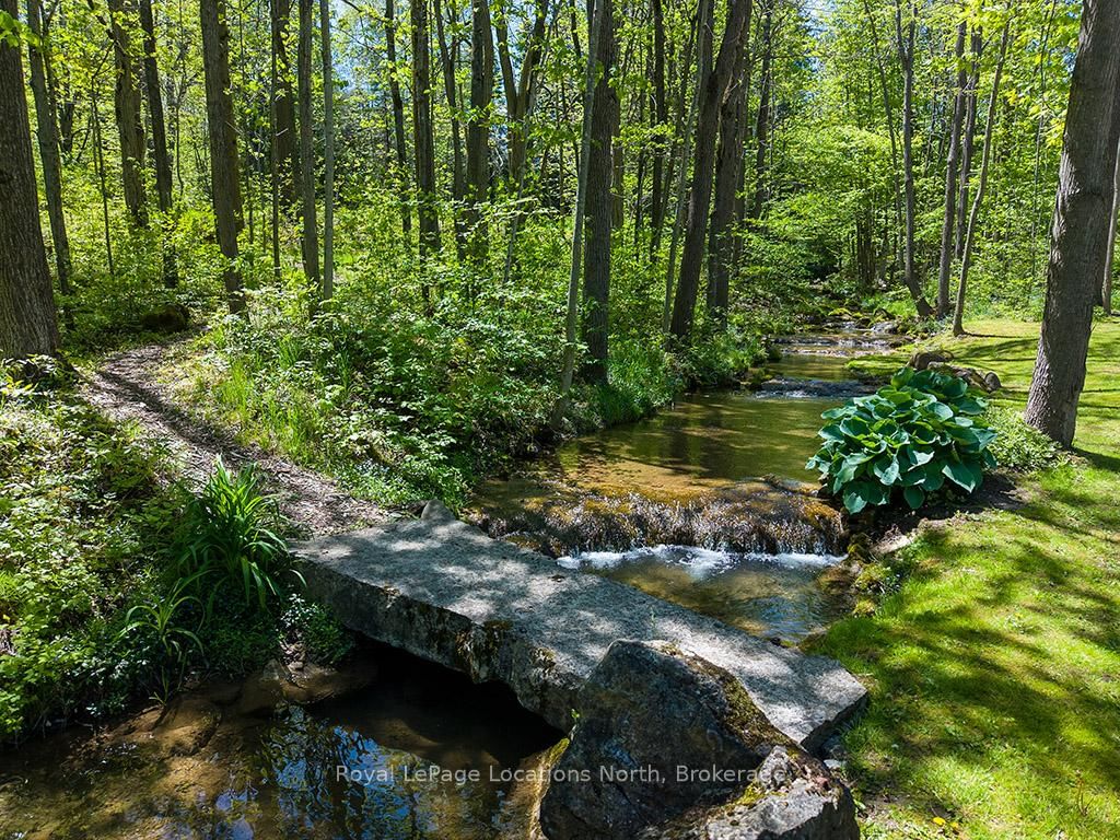 486056 Grey Road 30 • Grey Highlands, ON photo 24