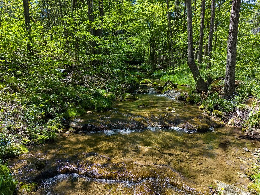 486056 Grey Road 30 • Grey Highlands, ON photo 25