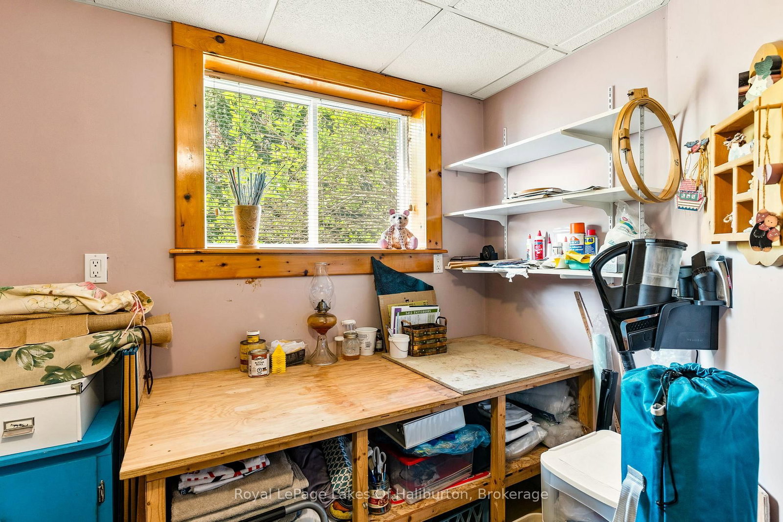 1123 Balmoral Lane • Highlands East, ON photo 37