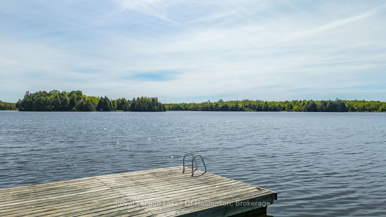 1123 Balmoral Lane • Highlands East, ON photo 4