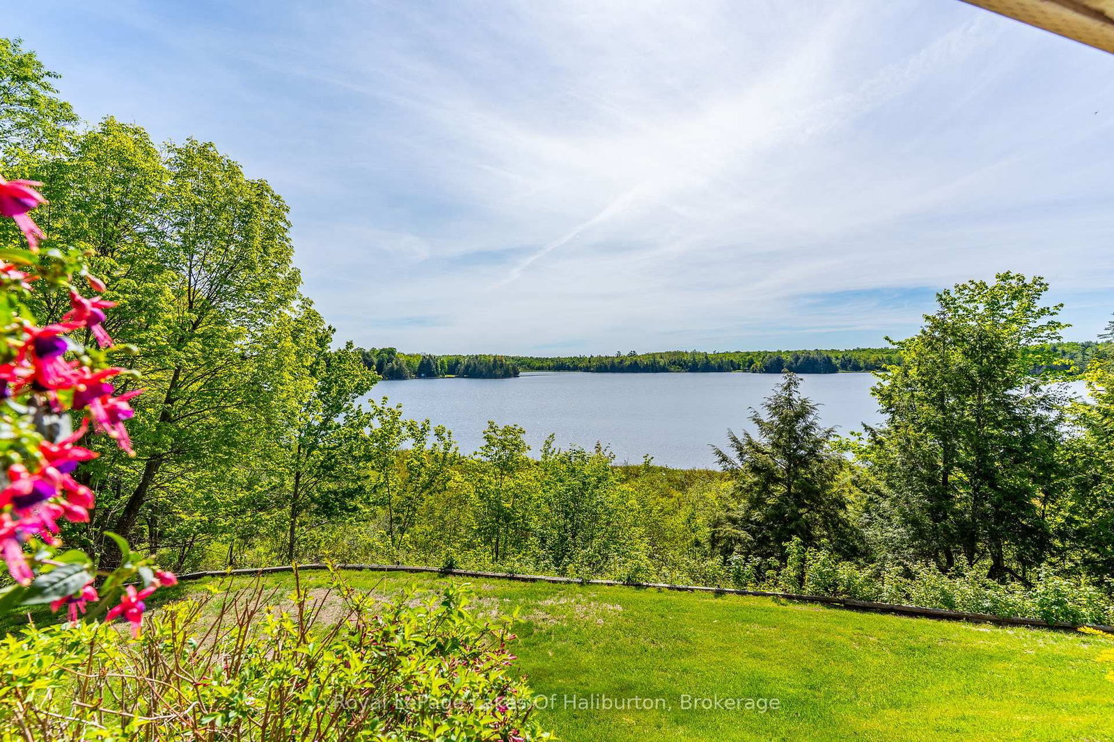 1123 Balmoral Lane • Highlands East, ON photo 43