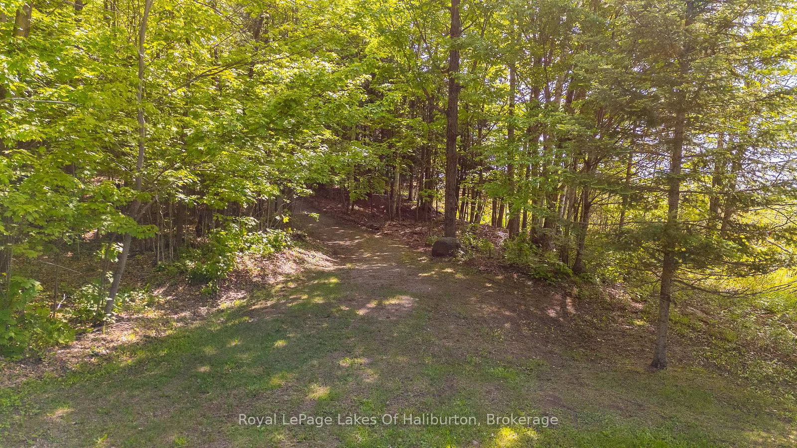 1123 Balmoral Lane • Highlands East, ON photo 47
