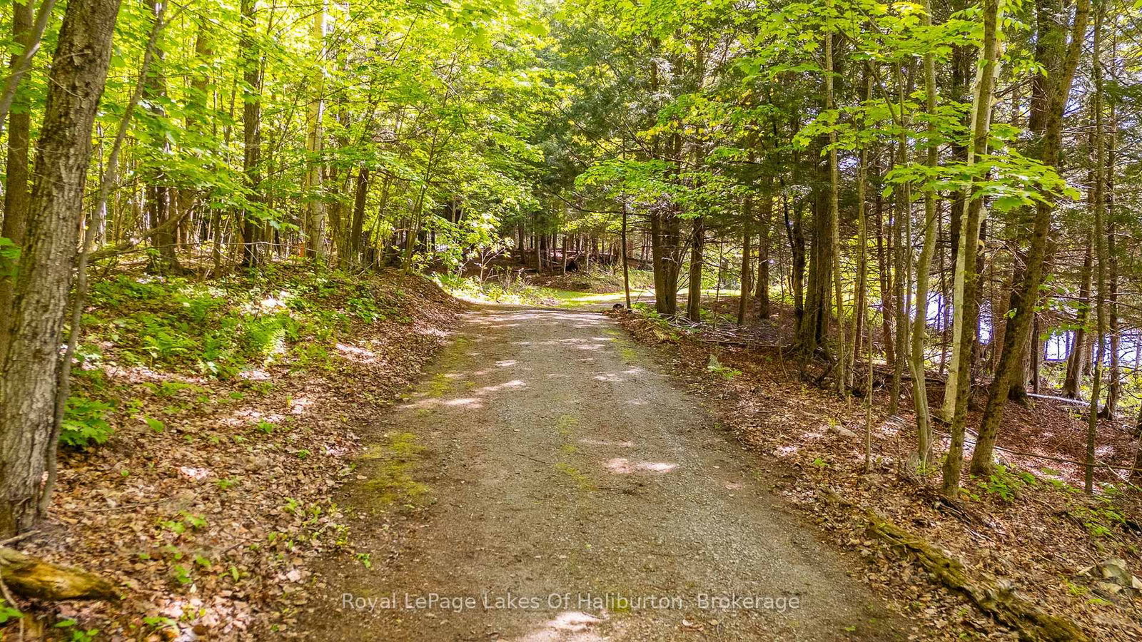 1123 Balmoral Lane • Highlands East, ON photo 48