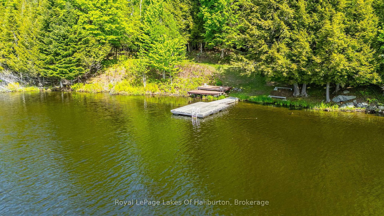 1123 Balmoral Lane • Highlands East, ON photo 5