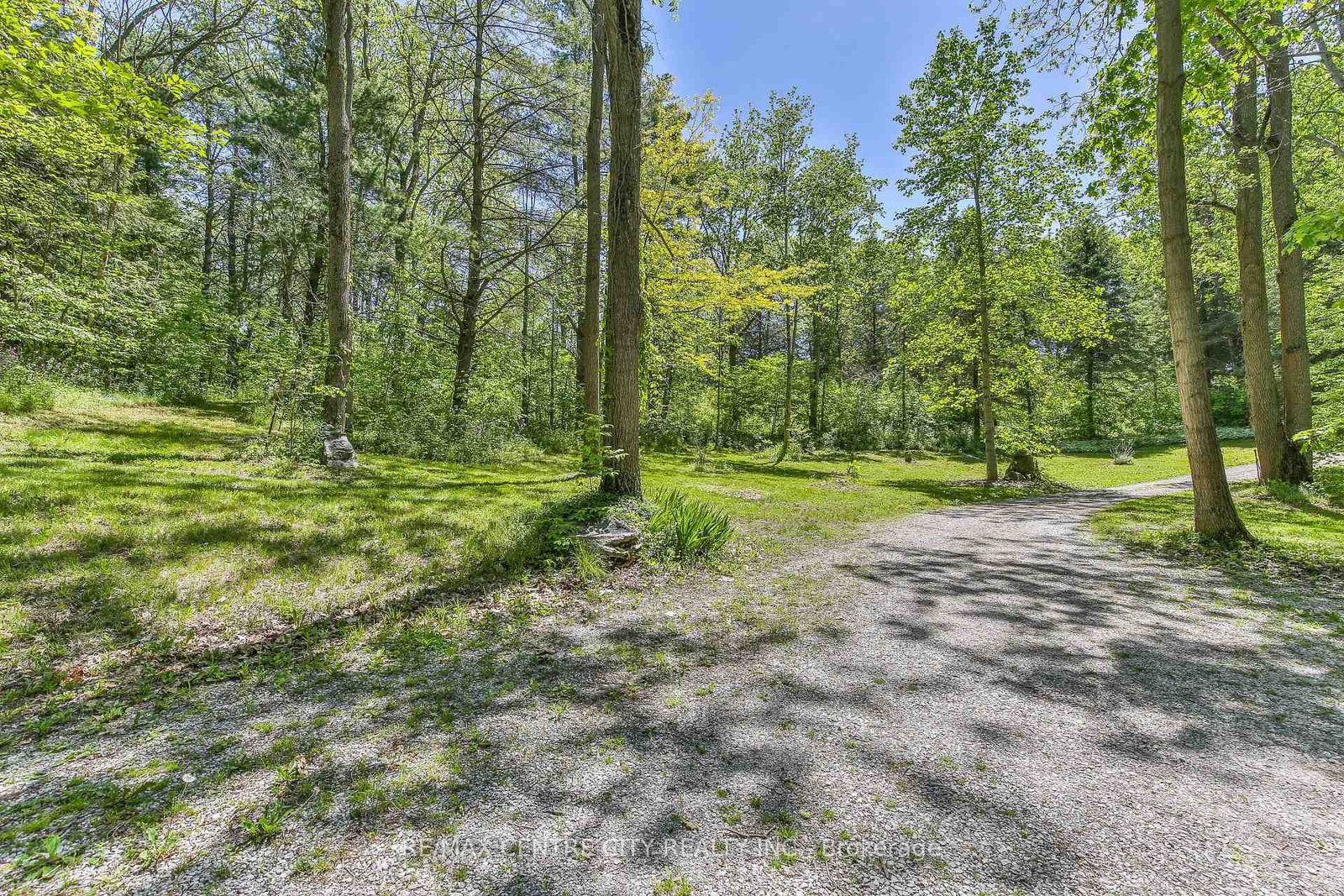 53860 Jackson Line • Bayham, ON photo 39
