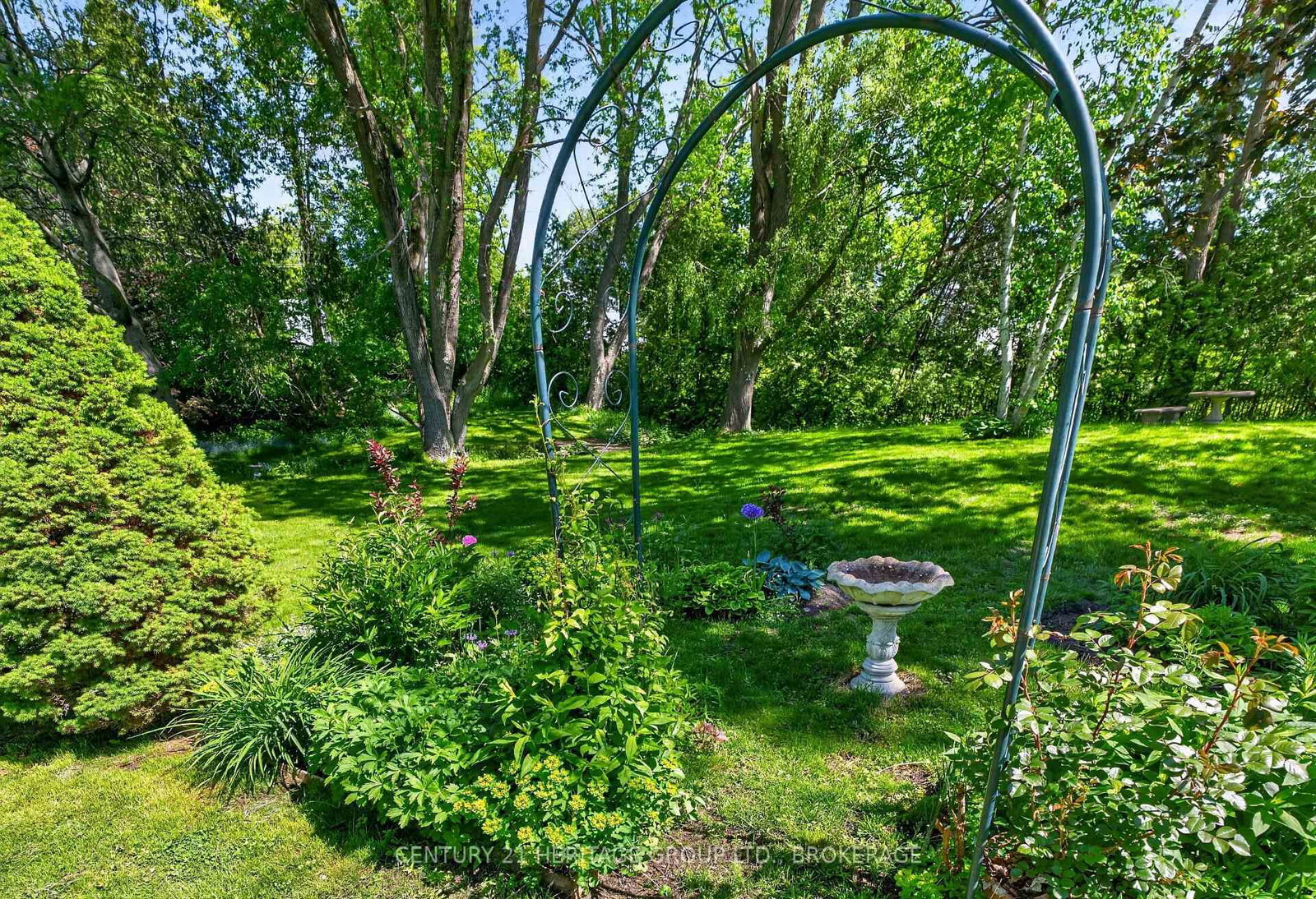 136 Old Danforth Road • Alnwick/Haldimand, ON photo 41