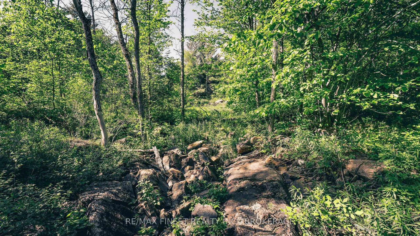 343 Church Road • Kaladar, ON photo 11
