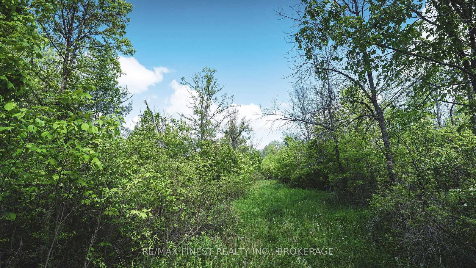343 Church Road • Kaladar, ON photo 2
