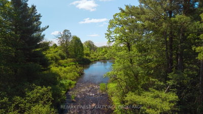343 Church Road • Kaladar, ON photo 6