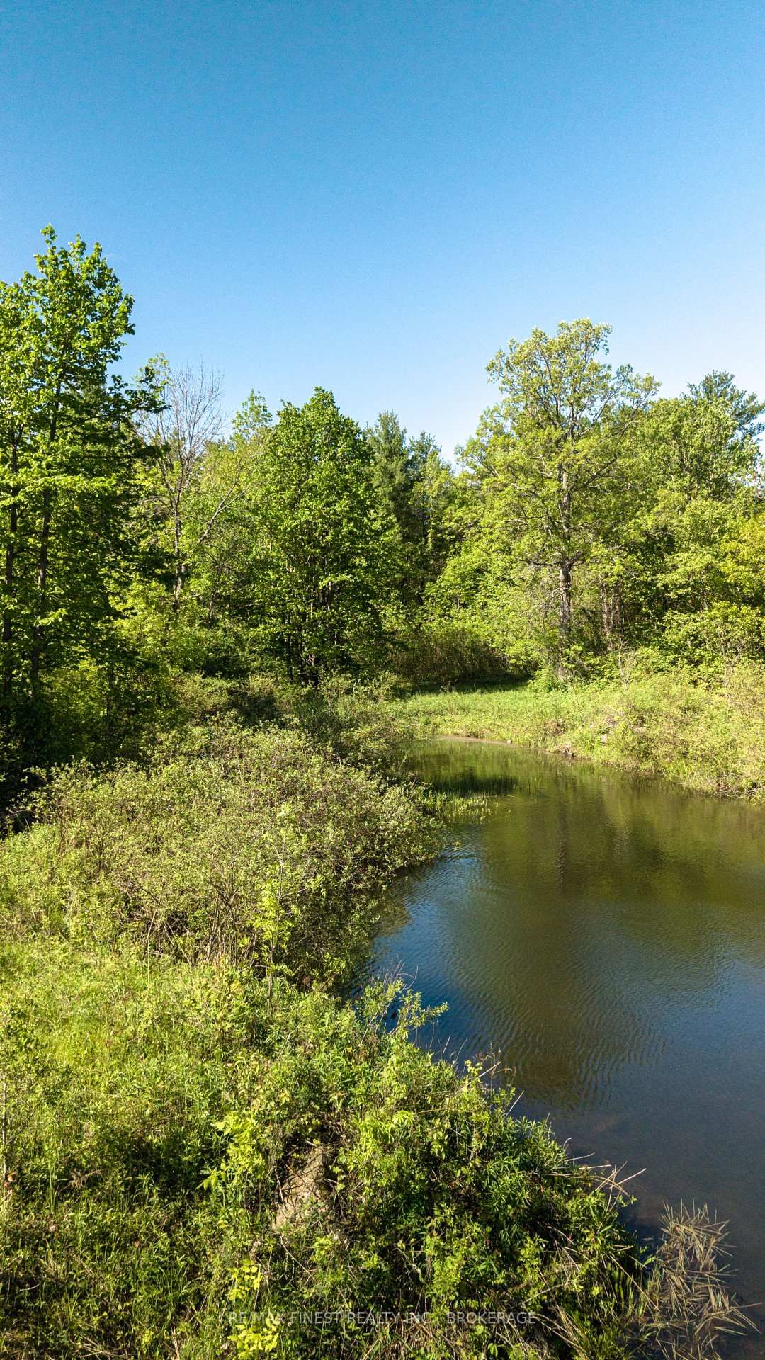 343 Church Road • Kaladar, ON photo 8