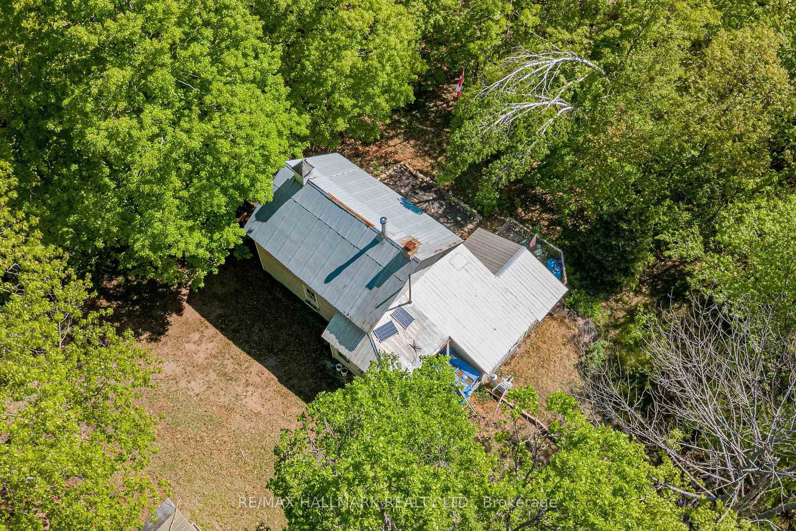 1005 Learners Lane • Minden Hills, ON photo 36