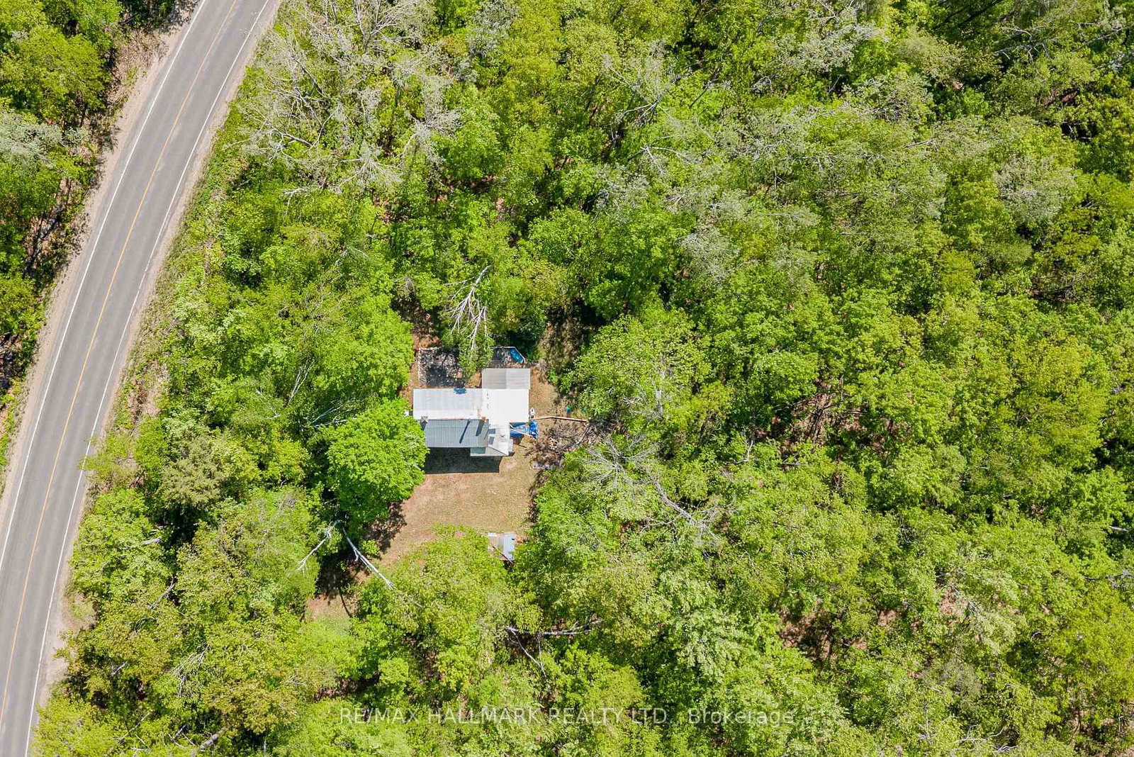 1005 Learners Lane • Minden Hills, ON photo 39