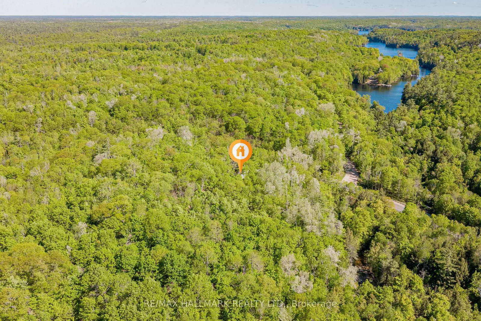 1005 Learners Lane • Minden Hills, ON photo 42
