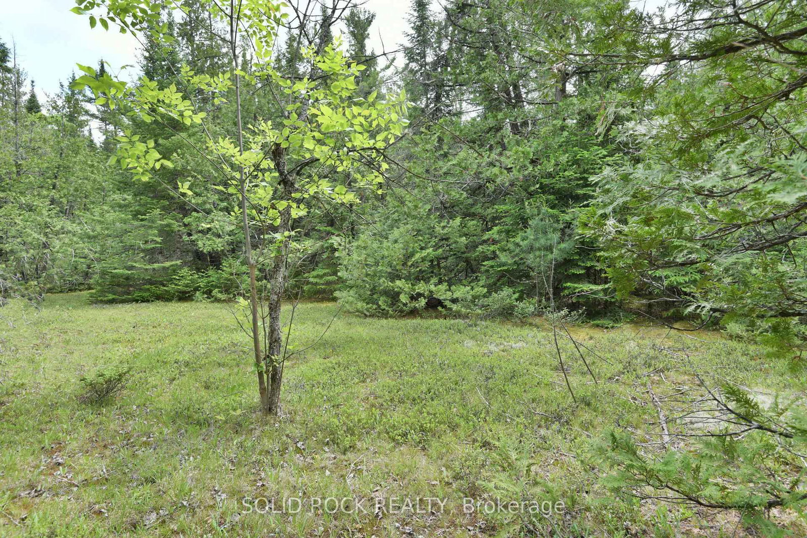 0 Mast Road • Arnprior, ON photo 10