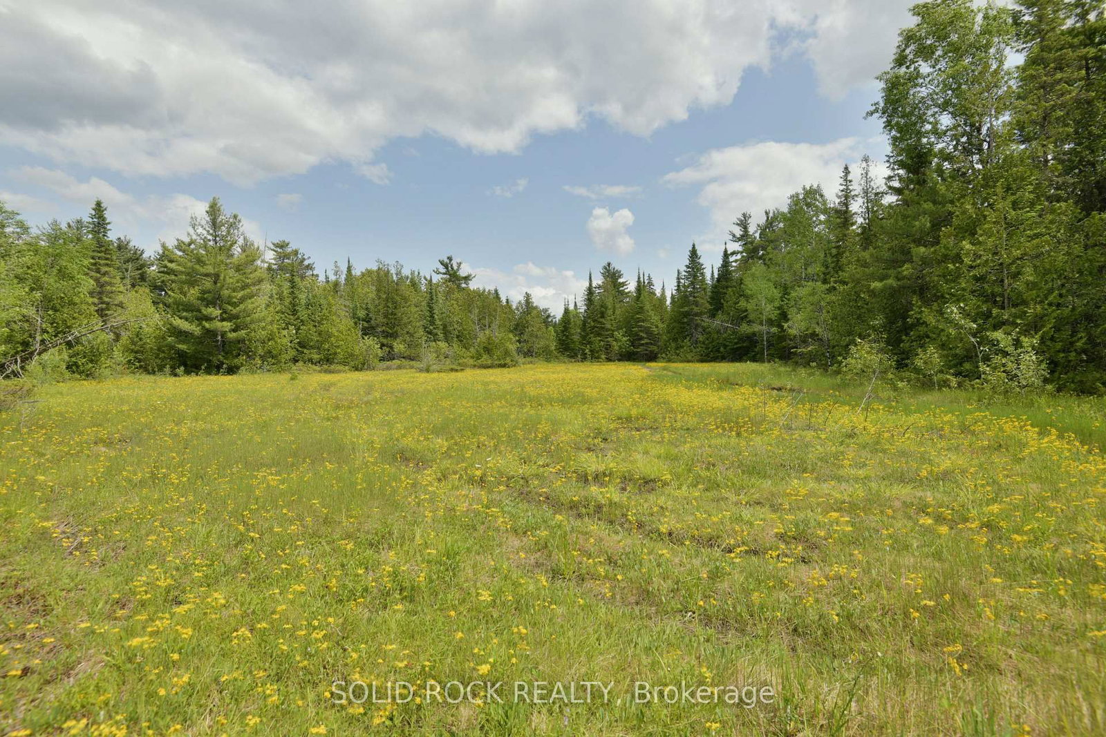 0 Mast Road • Arnprior, ON photo 5