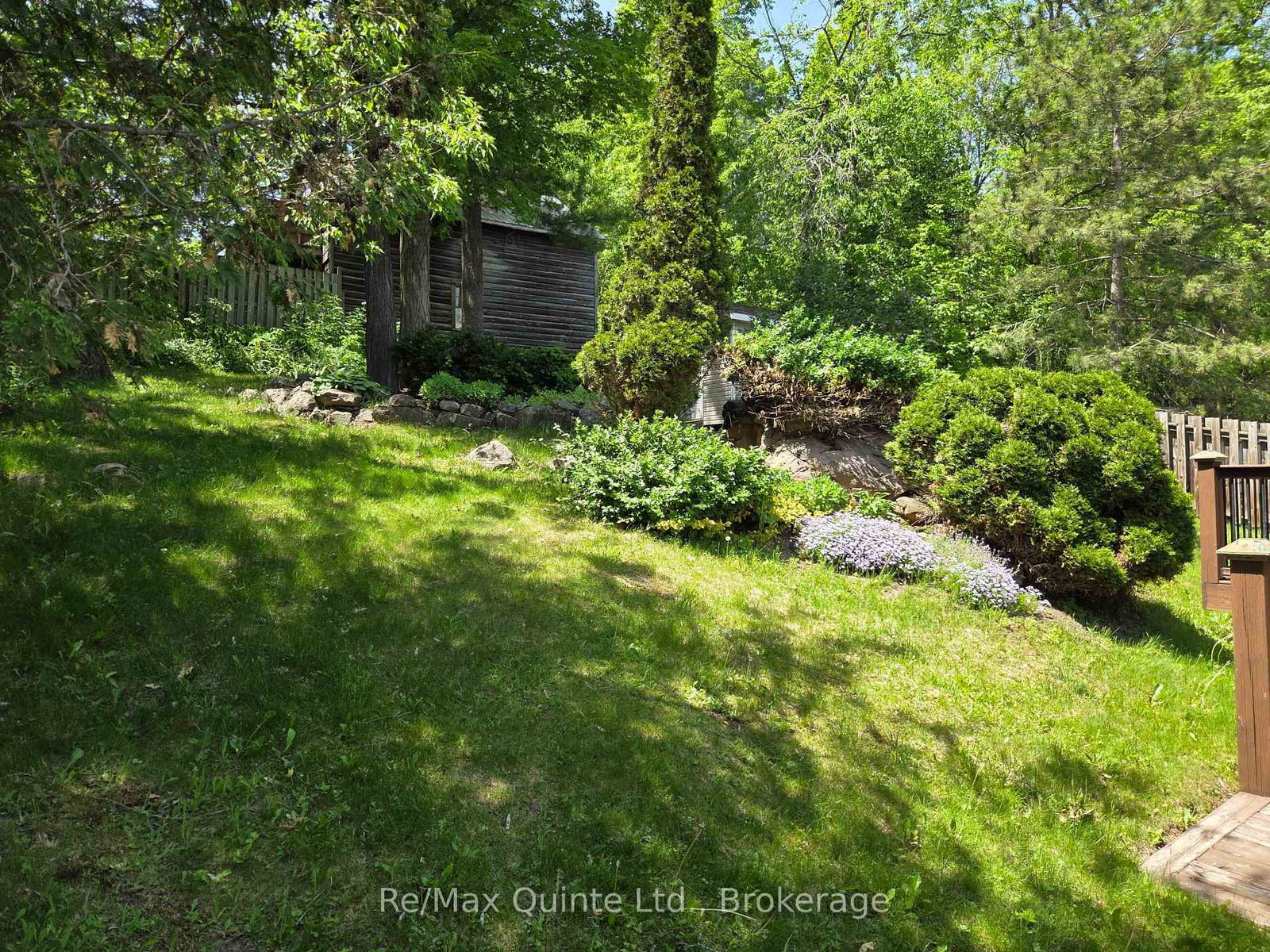 14 McCamon Avenue • Tweed, ON photo 22