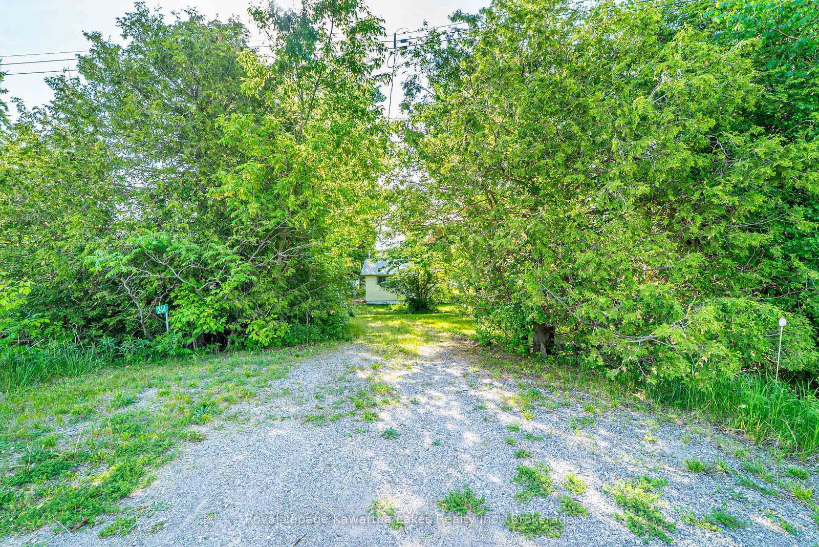 244 O'Reilly Lane • Kawartha Lakes, ON photo 34