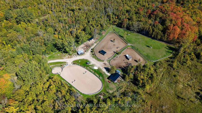 496629 Grey Road 2