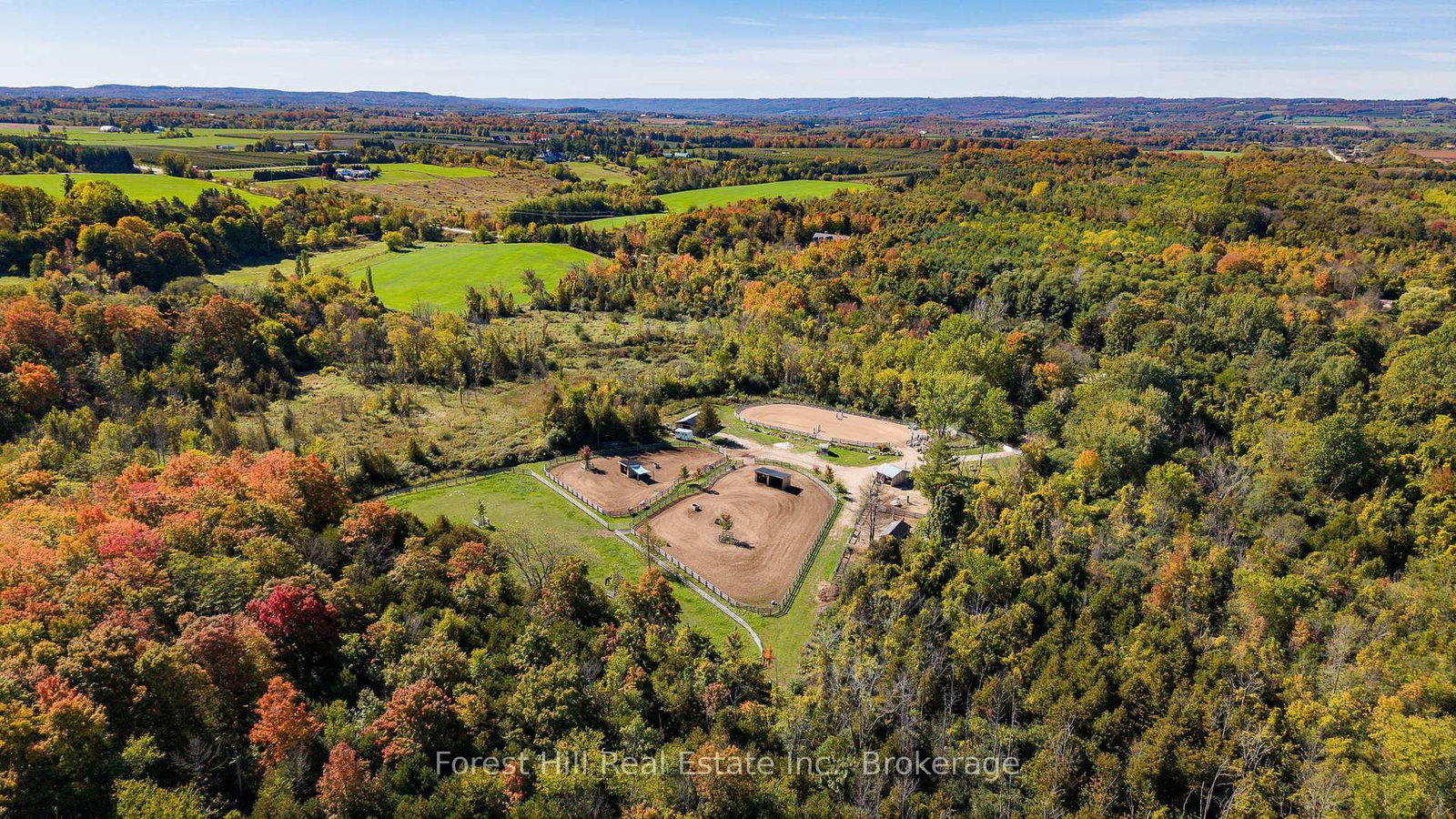 496629 Grey Road 2 • Blue Mountains, ON photo 4
