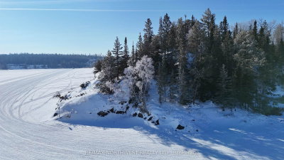1319 LAURENSON LAKE • Kenora, ON photo 9