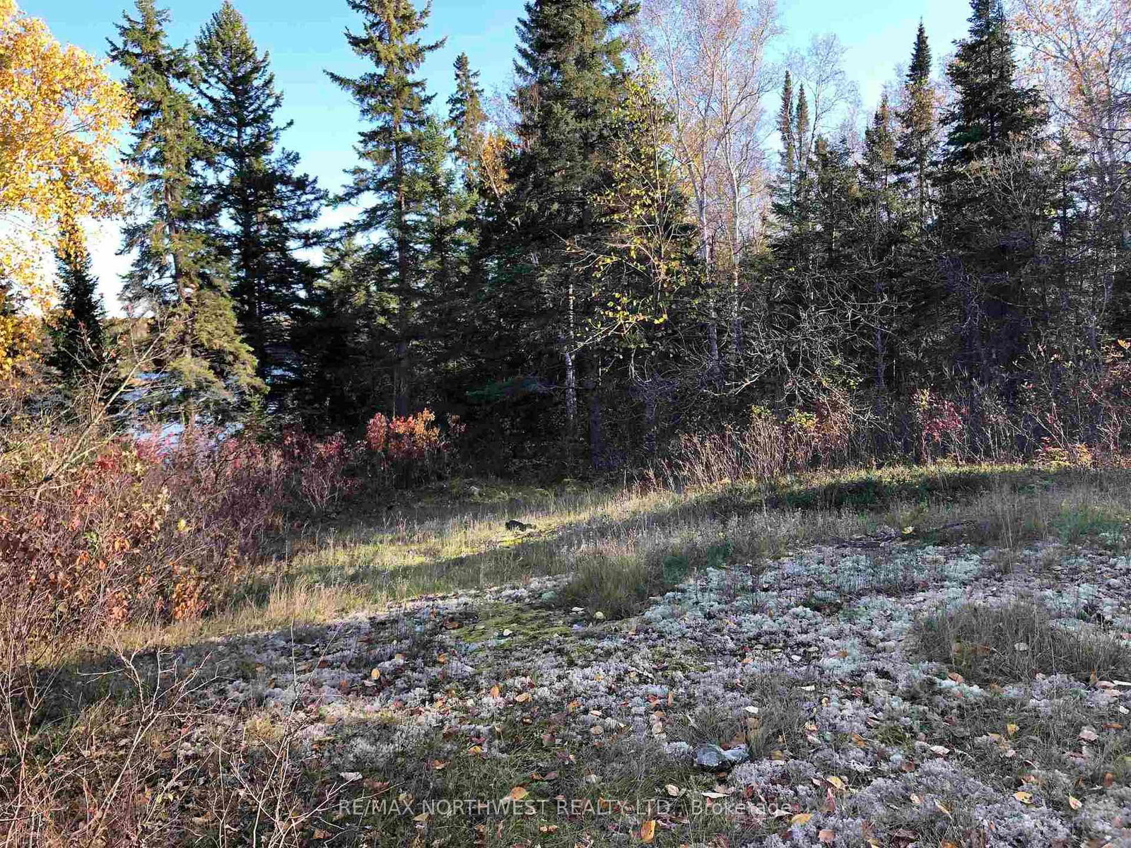 3,9 AND 10 DORION ISLAND LAKE OF THE WOODS • Kenora Remote Area, ON photo 23