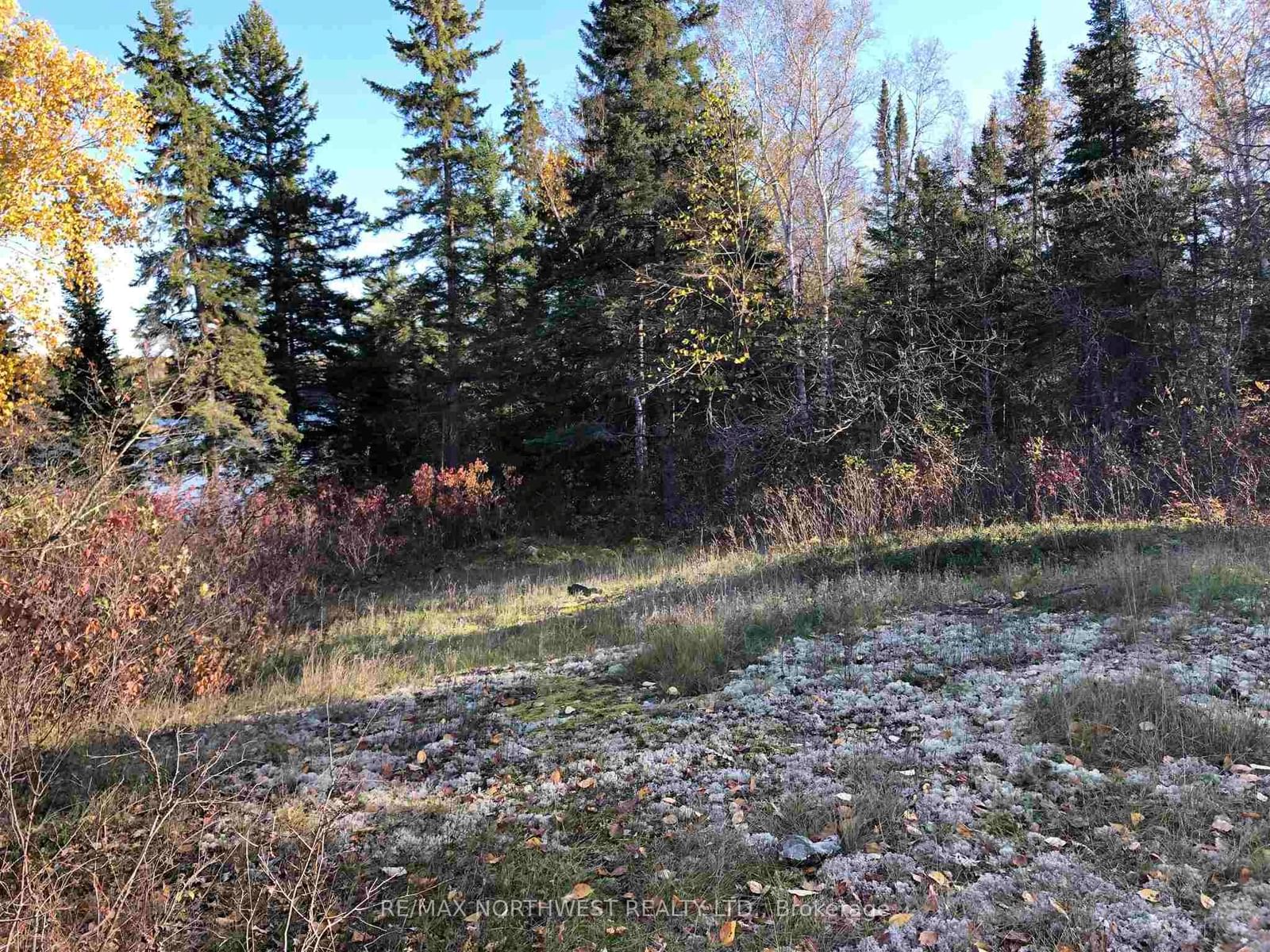 3,9 AND 10 DORION ISLAND LAKE OF THE WOODS • Kenora Remote Area, ON photo 25