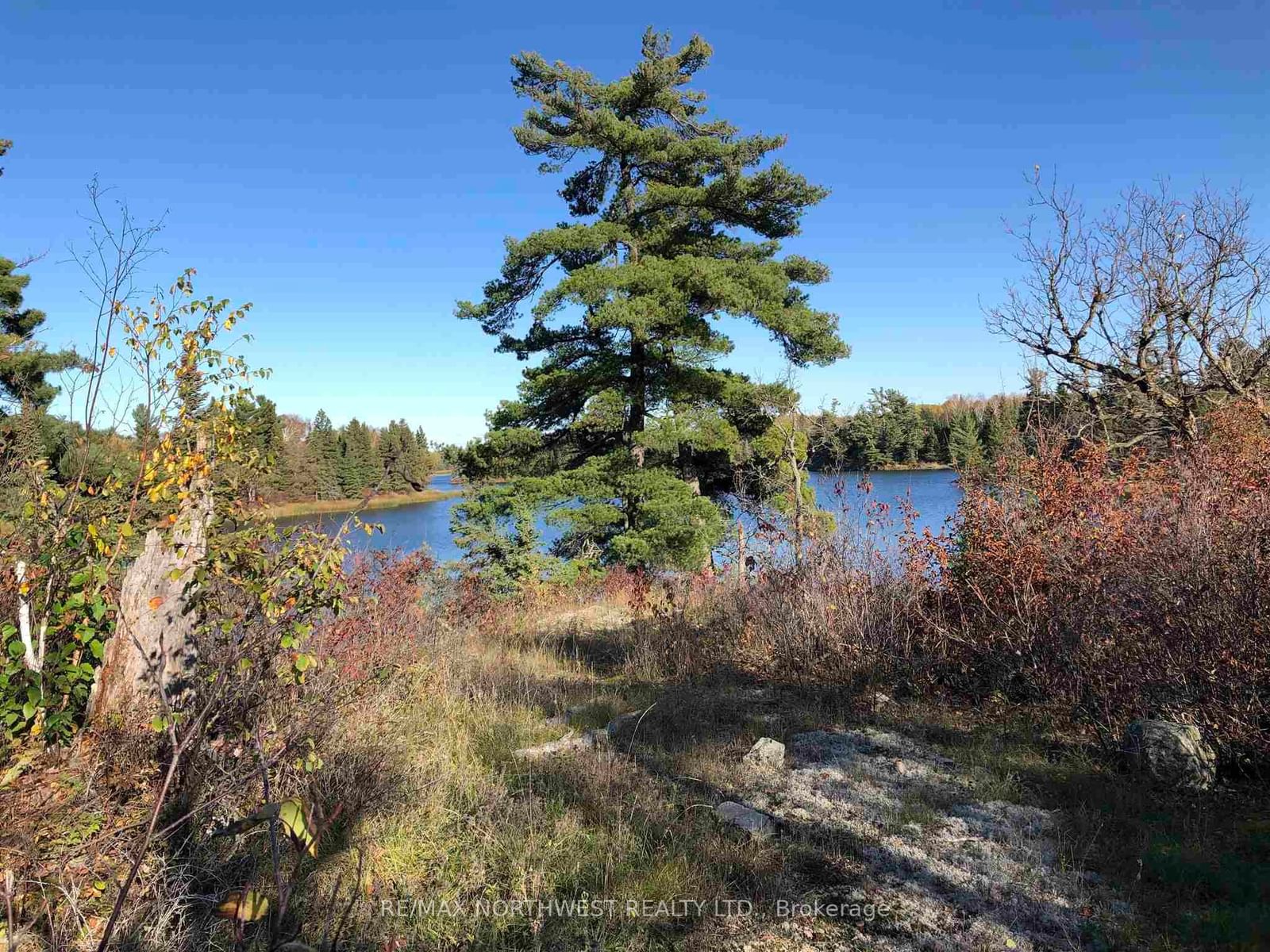 3,9 AND 10 DORION ISLAND LAKE OF THE WOODS • Kenora Remote Area, ON photo 27