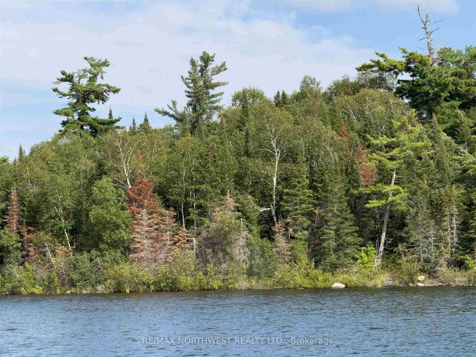 3,9 AND 10 DORION ISLAND LAKE OF THE WOODS • Kenora Remote Area, ON photo 58