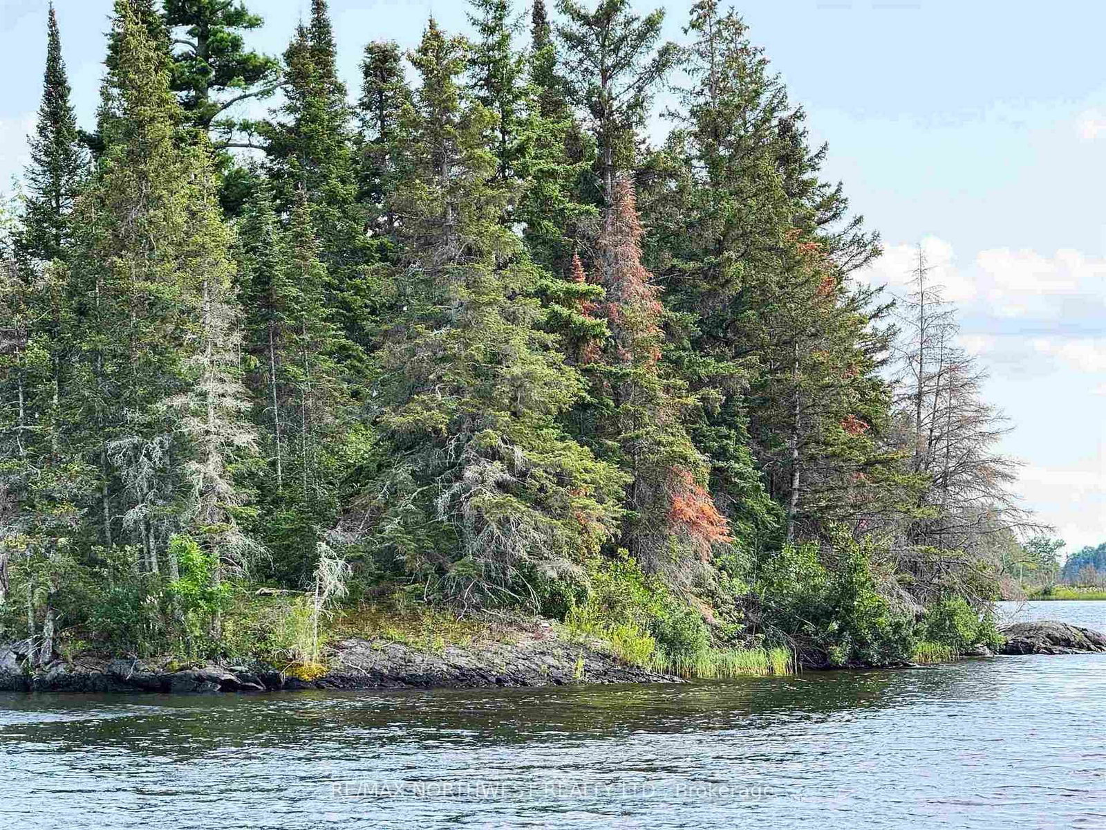 3,9 AND 10 DORION ISLAND LAKE OF THE WOODS • Kenora Remote Area, ON photo 66
