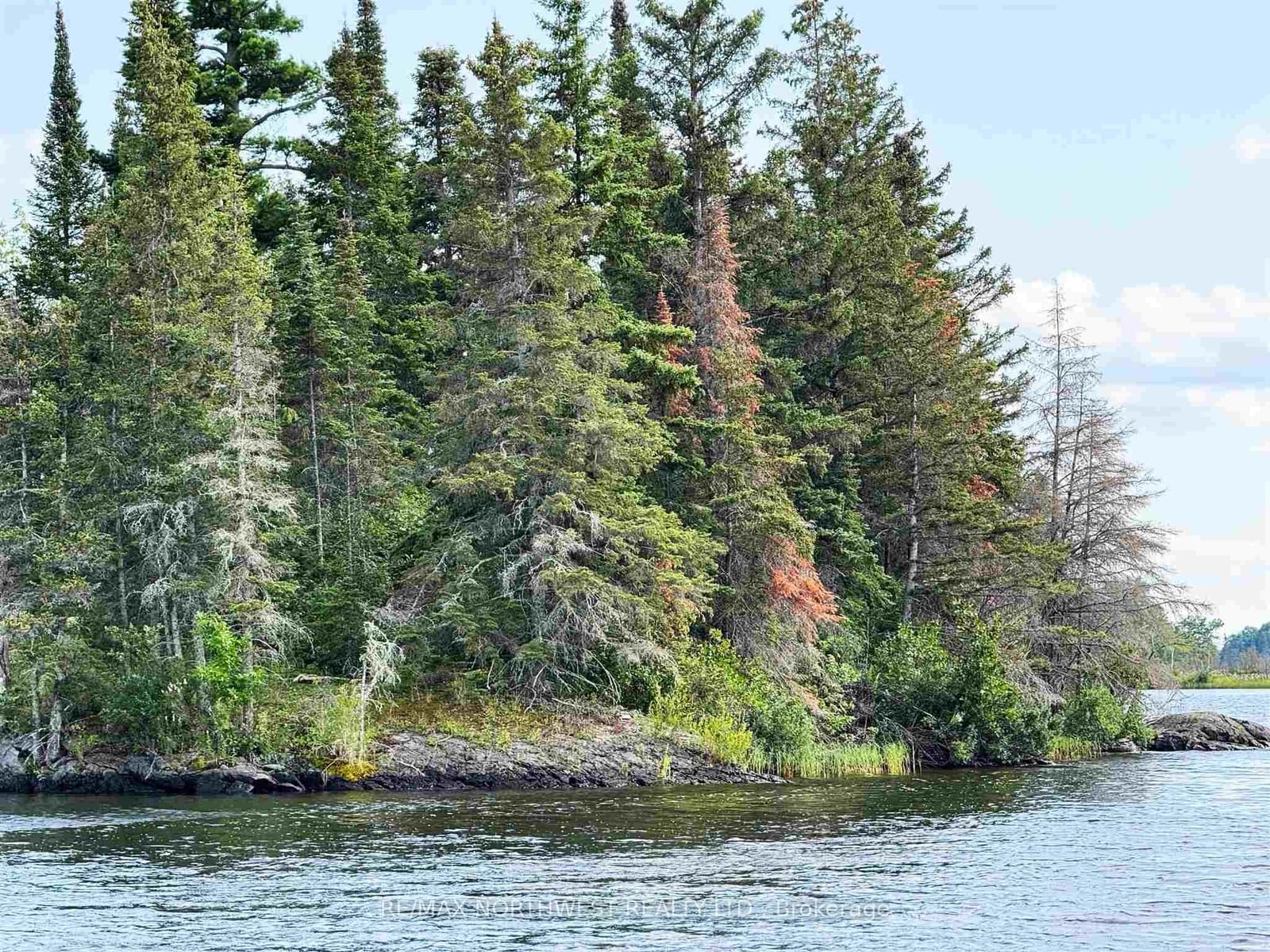 3,9 AND 10 DORION ISLAND LAKE OF THE WOODS • Kenora Remote Area, ON photo 67