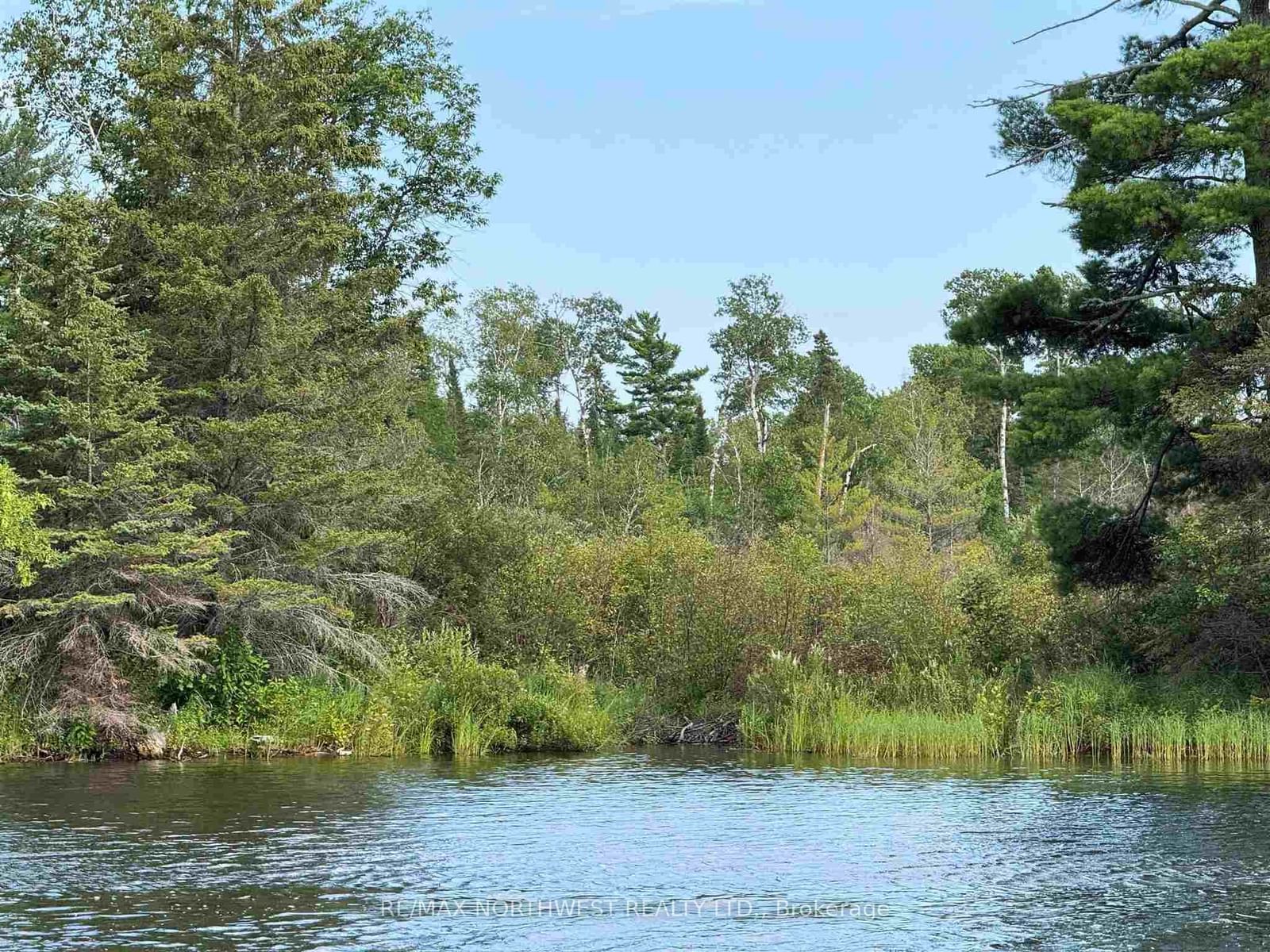 3,9 AND 10 DORION ISLAND LAKE OF THE WOODS • Kenora Remote Area, ON photo 75