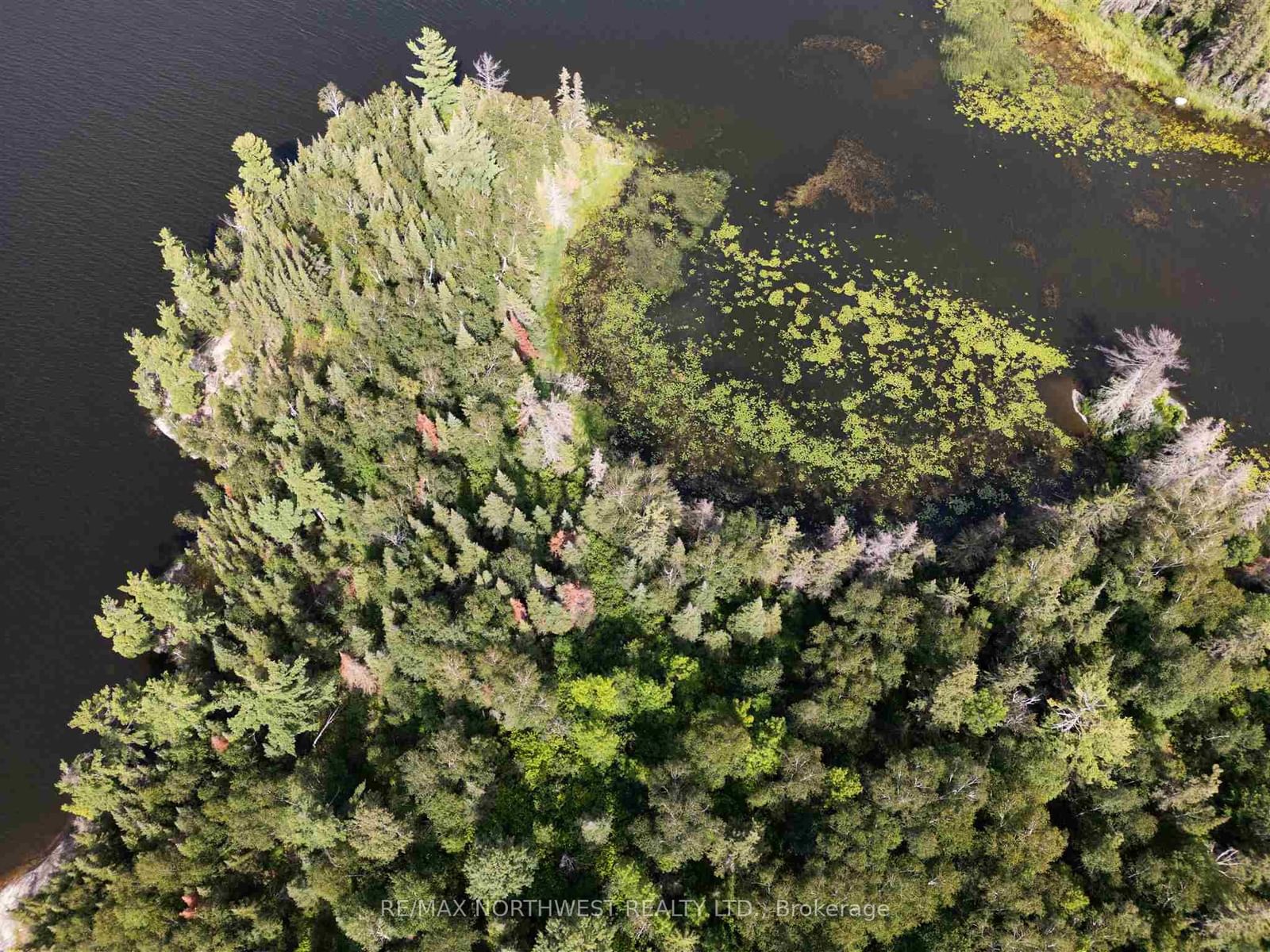4 AND 11 DORION ISLAND LAKE OF THE WOODS • Kenora Remote Area, ON photo 33