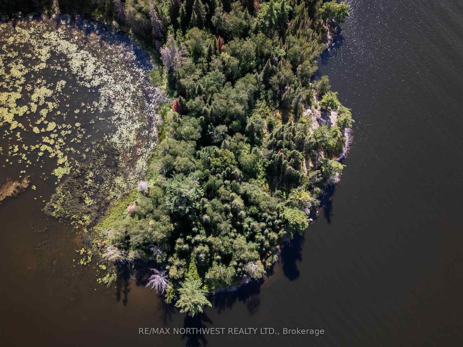 4 AND 11 DORION ISLAND LAKE OF THE WOODS • Kenora Remote Area, ON photo 40