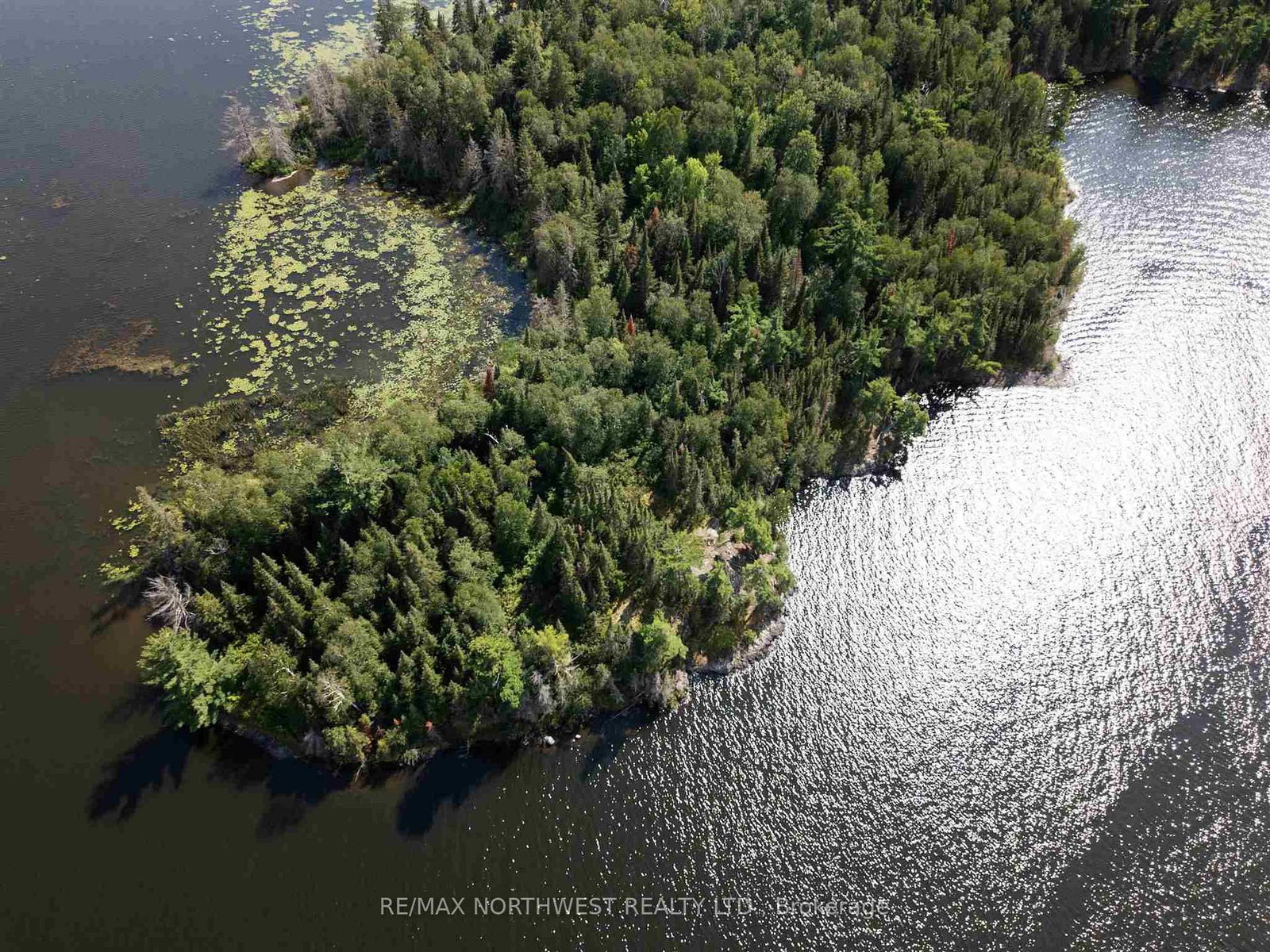 4 AND 11 DORION ISLAND LAKE OF THE WOODS • Kenora Remote Area, ON photo 5