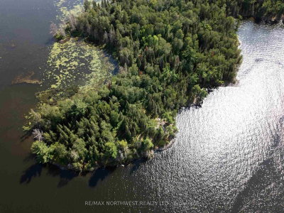 4 AND 11 DORION ISLAND LAKE OF THE WOODS • Kenora Remote Area, ON photo 8