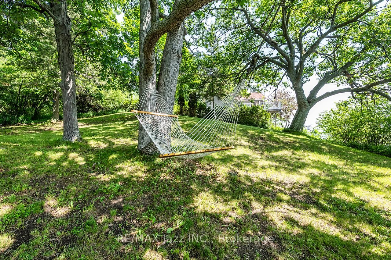 82 Cow Island • Otonabee-South Monaghan, ON photo 18