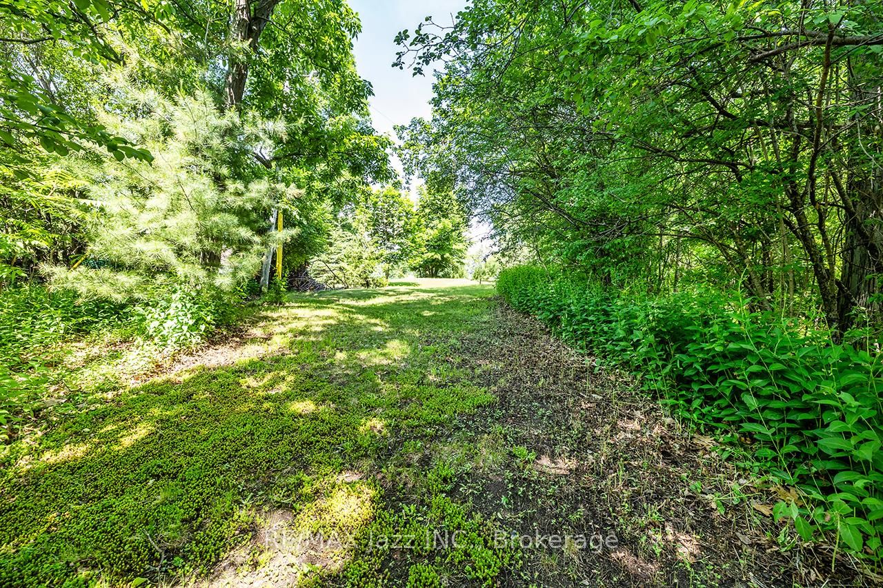 82 Cow Island • Otonabee-South Monaghan, ON photo 25