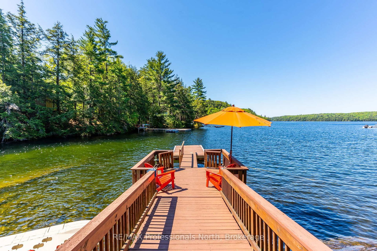 12556 LITTLE HAWK - SOME DAY ISLE • Algonquin Highlands, ON photo 5