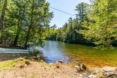 12556 LITTLE HAWK - SOME DAY ISLE • Algonquin Highlands, ON photo 6