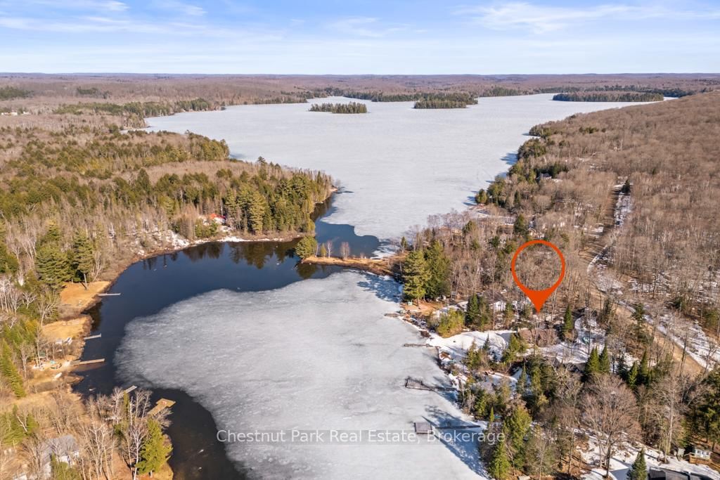 893 Relative Road • Armour, ON photo 40
