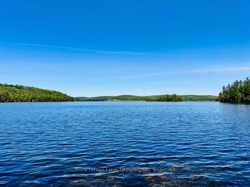 10573 Loon Lake WAO • Highlands East, ON photo 11